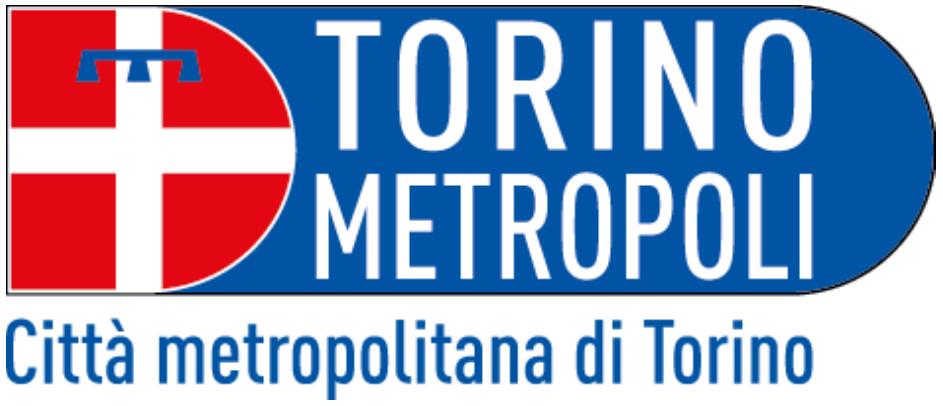 Report della Procedura Lotto n 3 U.O. 6 n. 110930202 effettuata da Città metropolitana di Torino Sommario Documentazione della Procedura... 1 Configurazione della Procedura... 1 Gara aggregata.