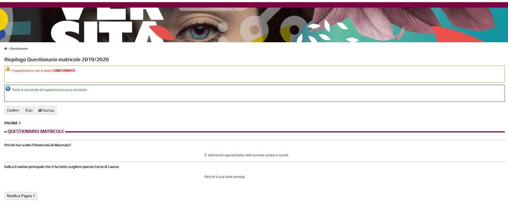 Dopo la compilazione conferma il questionario con l apposito pulsante Confirm presente sia all inizio che alla fine della pagina.