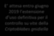 CORAGEN : CAMPI DI IMPIEGO Coltura Parassita Dose per Hl melo e pero pesco, nettarine, albicocco, susino vite da vino vite da tavola arancio, limone, mandarino (solo colture non in produzione) Cydia