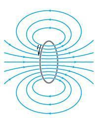 CAMPO MAGNETICO DI UNA SPIRA Si definisce spira un filo conduttore piegato ad anello.