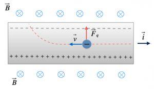 L EFFETTO HALL Se una lamina conduttrice è percorsa da corrente in direzione perpendicolare a un campo magnetico, tra i suoi margini, in direzione trasversale