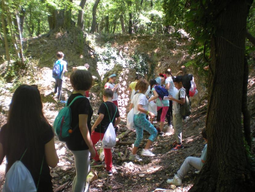 a conoscerlo con noi. Il bosco di Gattaceca è compreso tra i comuni di Monterotondo, Mentana e Sant'Angelo Romano.