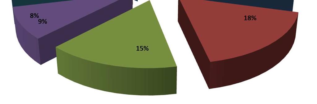 Ri.Alto Previdenza Titoli corporate (49,66%): distribuzione per Paese 49,66% della Ri.