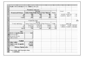 Test Chi-quadrato per la differenza tra due proporzioni Foglio di Microsoft Excel con