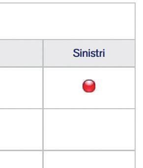 Nella colonna Sinistri puoi verificare la presenza di eventuali