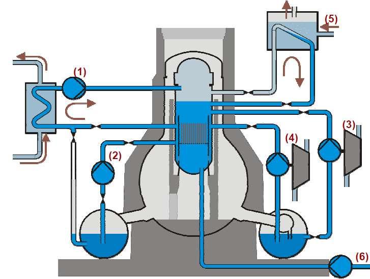 Sistemi di sicurezza (1) Residual Heat Removal System, asserve anche alla funzione di Low- Pressure Core Injection (in caso di grande LOCA) (2) Sistema di Core Spray a bassa pressione (in caso di
