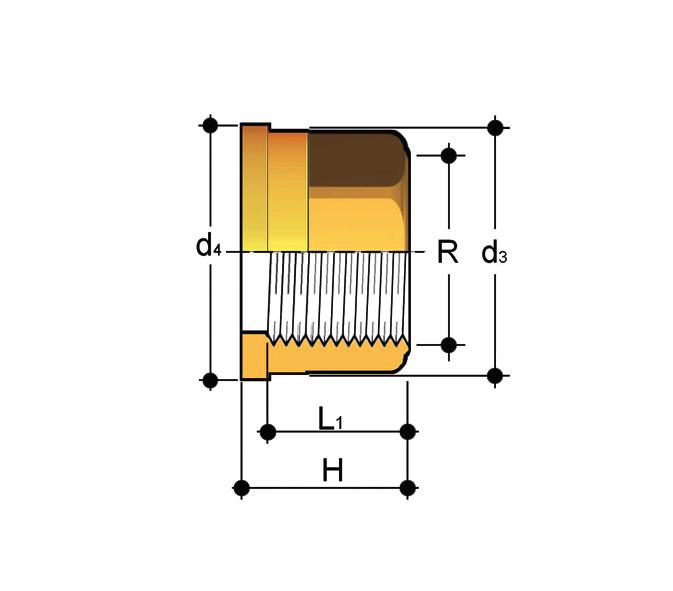 Q/BFO Pezzo folle estremità femmina filettata BSP in Ottone R d 3 d 4 H L 1 g Codice 3/8" 22 24 21,5 13,5 38 QBFO038 1/2" 27,5 30,1 22,5 16,5 60 QBFO012 3/4" 36