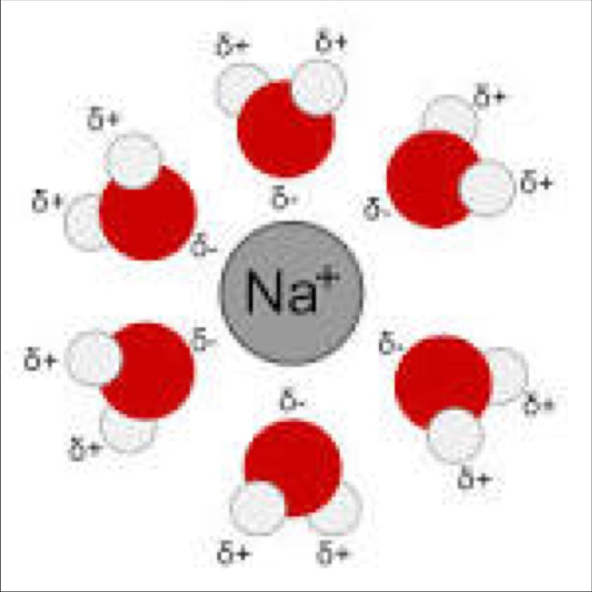 Termodinamica delle Soluzioni ΔH = ΔH 1 + ΔH 2 + ΔH 3 Sciogliendo ad esempio NaCl in H 2 O, il catione metallico Na