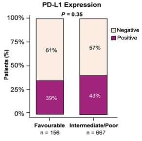 Immunogenic Poor PD-L1 expression