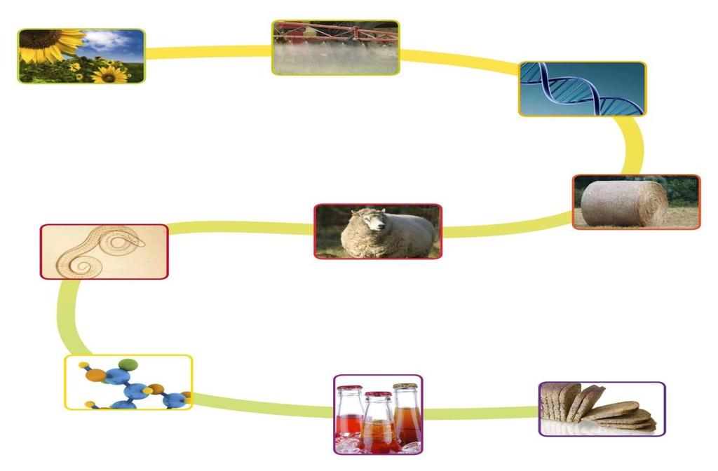 Pareri scientifici dal produttore al consumatore Salute