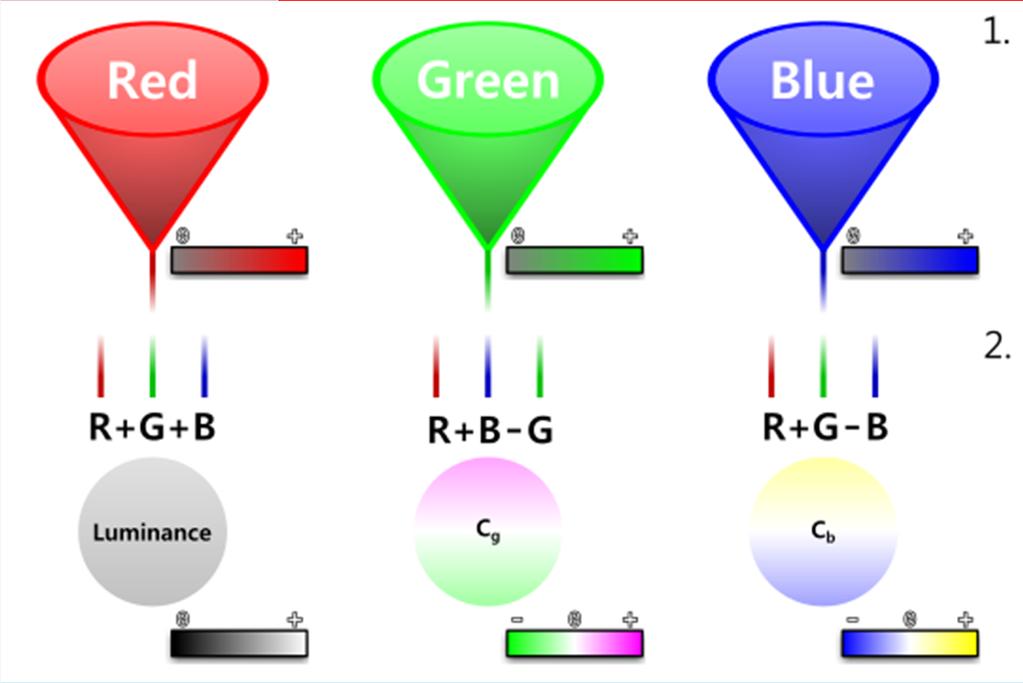 Percezione del colore 9 L'elaborazione dei colori nel sistema visivo inizia già nella retina.