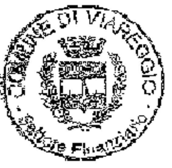 Comune di VIAREGGIO Provincia di Lucca ATTESTAZIONE DI COPERTURA FINANZIARIA Determinazione Unit di Staff Politiche del Territorio nr.