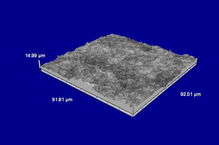 (surface treatment DM TECOM IMPLANTOLOGY) Figura4 Visione tridimentionale della superficie 3D dell impianto LOT.
