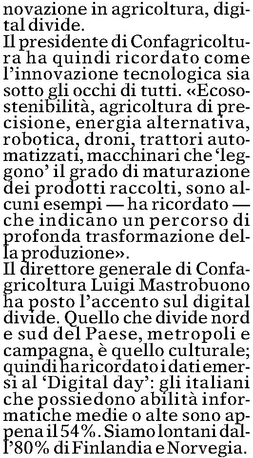 000 Quotidiano - Ed.