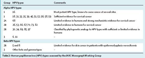 termine test HPV nel protocollo di screening indica un test che