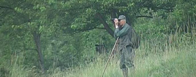 Viene condotta a seguito di censimenti e stime relative al numero di capi presenti e sul loro impatto nell ambiente, volte a indicare il numero di animali da abbattere di una o più specie (di quale