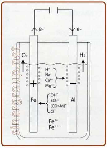 060058-02 Sistema di ricambio per elettrolisi 24 volt.