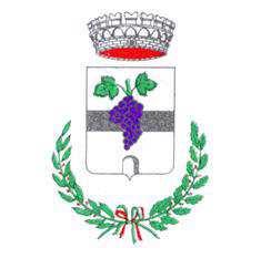 COMUNE DI CASTELLINALDO (Provincia di Cuneo) Approvato con delibera del Consiglio