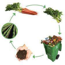 Il compost: PRIMO anello della filiera agricola L impianto di recupero NON è l ultimo anello della catena produttiva (smaltimento dei residui) ma è il PRIMO della filiera agricola.