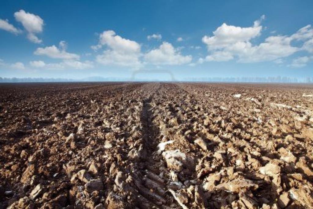 Il recupero agronomico: i controlli ANALISI DEI FANGHI: maggiori frequenze rispetto a quelle previste dal D. Lgs.