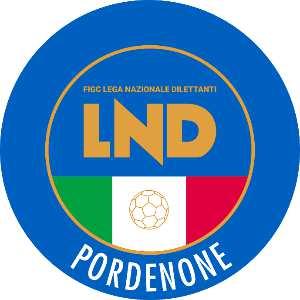 Delegazione Provinciale di Pordenone Viale della Libertà 75 33170 Pordenone Tel. 0434 544 103 Fax 0434 532580 e-mail: cplnd.pordenone@figc.it pec: dp.pordenone.lndfvg@pec.