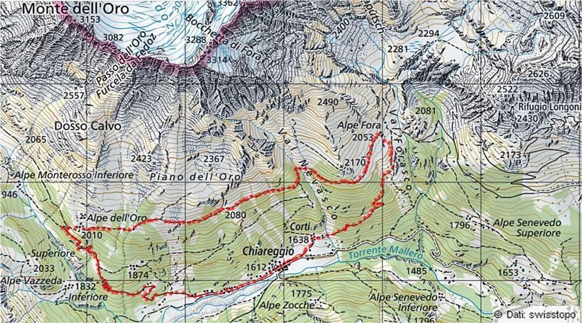 Dopo un oretta di cammino, in direzione nordovest si esce dalla pineta e, abbandonata la strada del Muretto, seguiamo i segnali per il rifugio Longoni guadagnando in breve il terrazzo dell Alpe dell