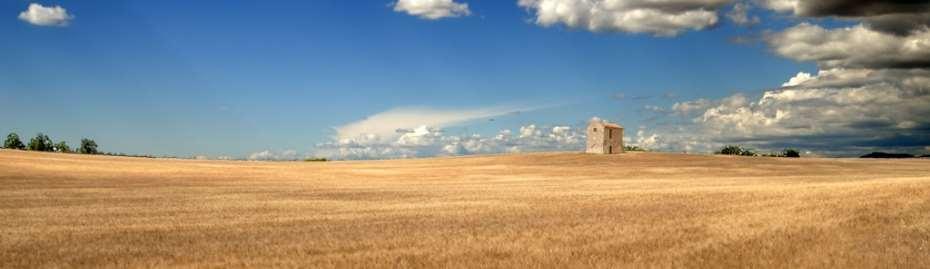 Evidenze scientifiche dimostrano che un ambiente confortevole e la