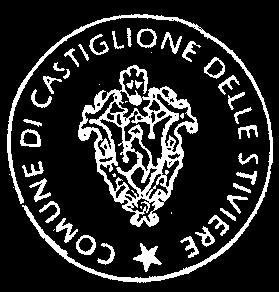 PLURIENNALE 2015-2017 Castiglione, lì IL DIRIGENTE IL SINDACO IL SEGRETARIO DELL AREA FINANZIARIA