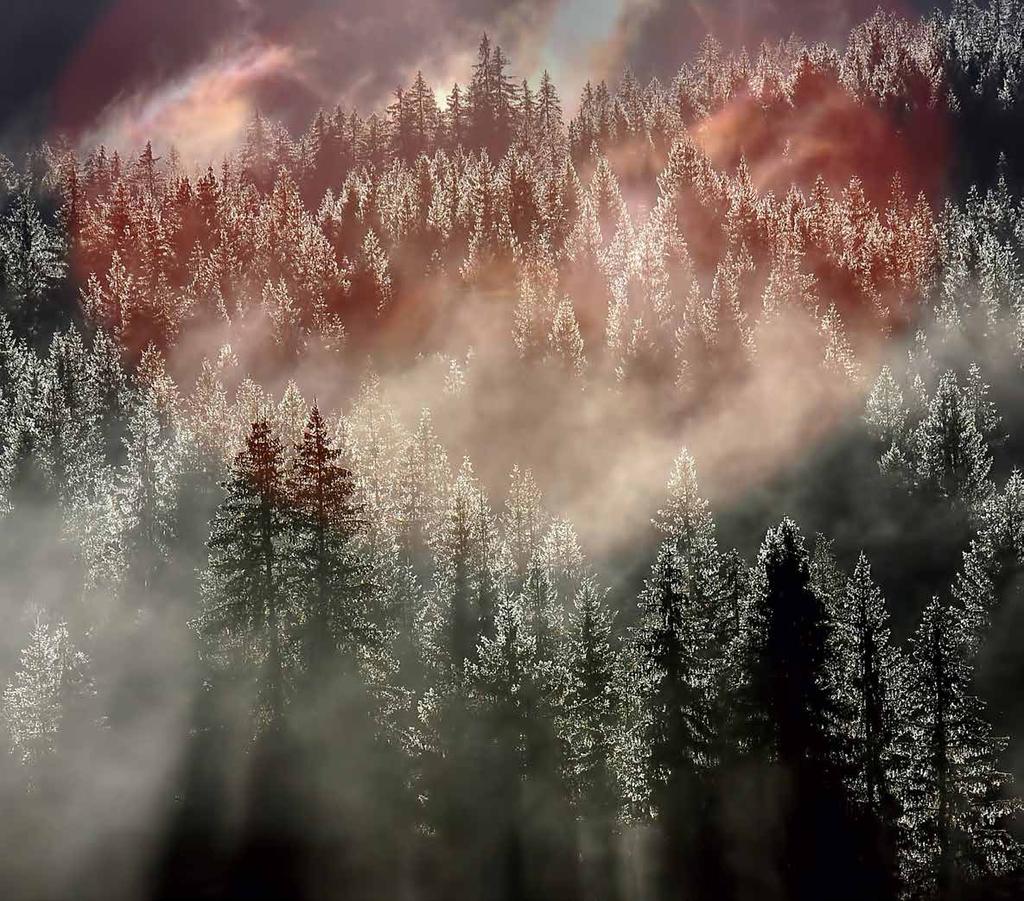 SETTEMBRE 2016 Gosaldo (Belluno) Sul bosco sempreverde veglia un grande cuore: incantato e fiabesco si mostra il paesaggio mentre nuvole di luce, sospiri e vapore da un altrove recano un dolce