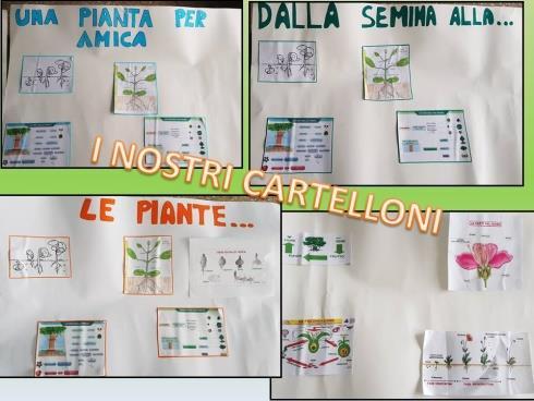 realizzazione di cartelloni di sintesi sulle