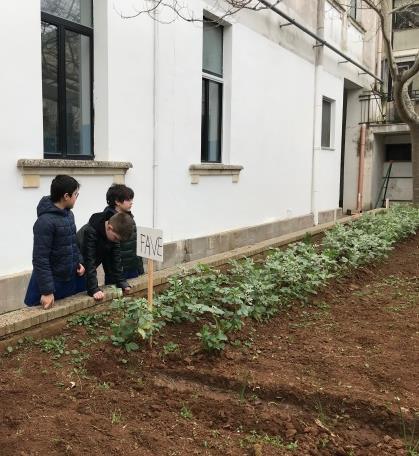 Cominciamo a vedere i primi frutti di