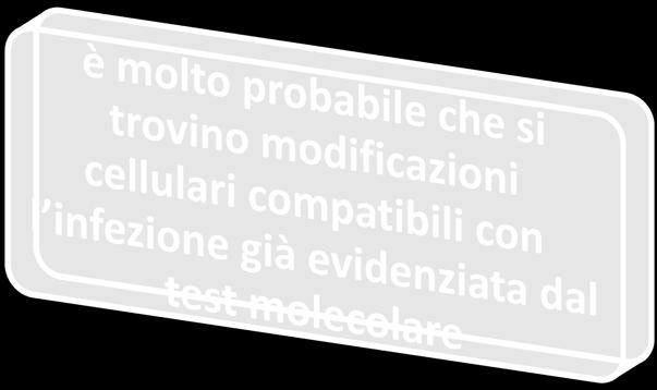 possibile i relativi quadri morfologici, classificando come negativi quei casi che presentano densa