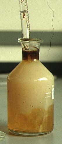 Il metodo di Winkler per l ossigeno disciolto Il campione può essere portato in laboratorio.