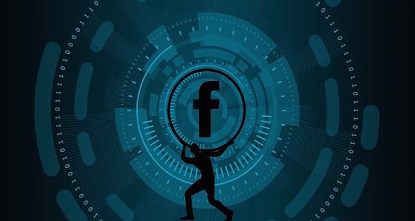 Facebook è un social network a scopo commerciale lanciato il 4 febbraio 2004.