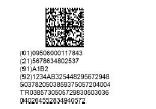 RUSSIA Informazioni: GTIN Serial number Expiry Date Batch Number Crypto code GS1