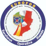 L identità europea di sicurezza e difesa il progetto EUROFOR MAGG.