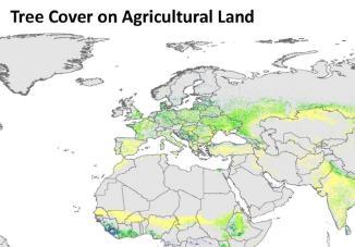 in total the C estimate for agricultural land