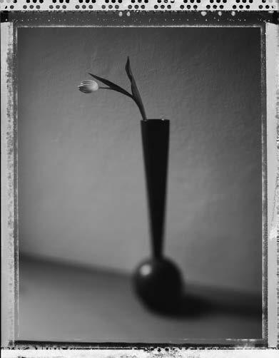 12 Mario Ermoli (Milano 1967) Tulipano 1996 cm 30 x 23,5 immagine cm 42 x 29,7 foglio Scansione da negativo Polaroid 55. Stampa Fine Art ai pigmenti in bianco e nero.   9