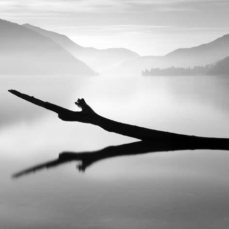 48 Pierre Pellegrini (Sorengo, CH 1968) Contrasti autunnali 2009 cm 30 x 30 immagine cm 50 x 50 foglio Stampa ai pigmenti di carbone su carta cotone Hahnemuhle.