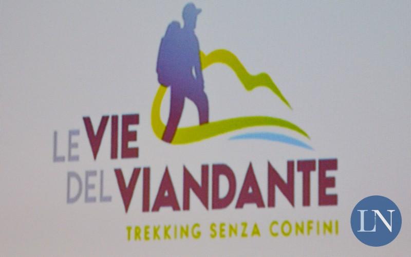 8 Il logo de Le vie del viandante Le vie del viandante Via San Bernardino (dal San Bernardino a Roveredo) La Bocchetta di Camedo La traversata del passo Baldiscio La traversata del passo della