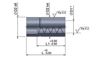 bussola di guida liscia guide bush führungsbuchse ebu-4 D1 * D1 D2 SERIE NORMALE NORMAL SERIES NORMALEN SERIES SERIE CORTA SHORT SERIES KURZ SERIE L L1 L L1 15 / 16 26