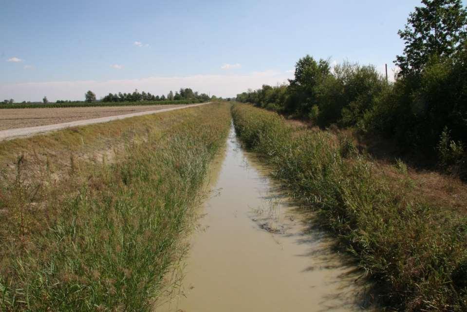 Dopo i lavori di riqualificazione (Settembre 2016) Più elofite (canneto)