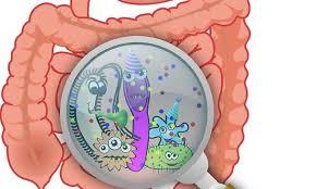 Studi di sequenziamento metagenomico hanno evidenziato un associazione tra alterata composizione del microbiota e neoplasie maligne.