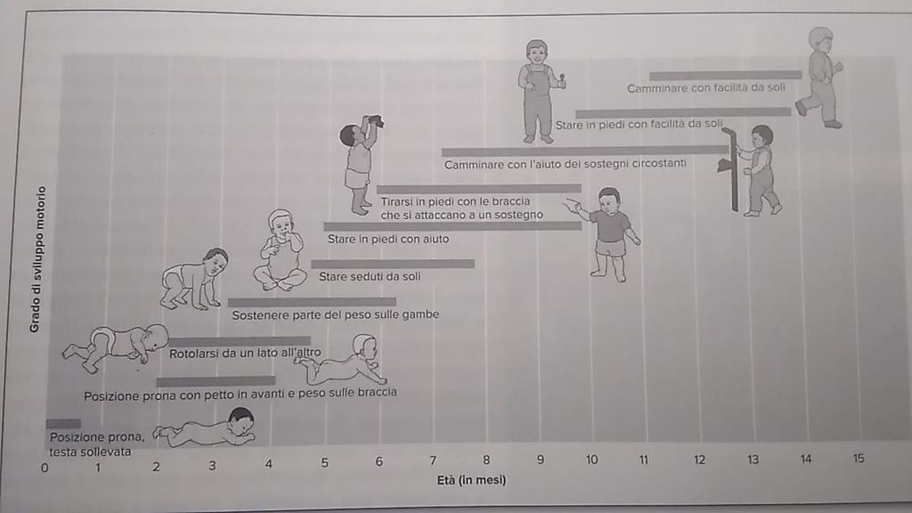 E' importante che uno psicologo sia in grado di definire quando le diverse abilità grosso-motorie devono