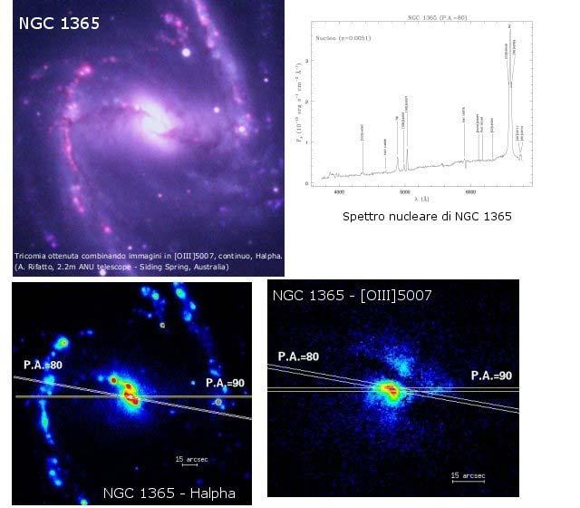 Studio di nuclei attivi di galassie Studio di AGN dell universo vicino (z<0.05) struttura e condizioni fisiche delle regioni circumnucleari.