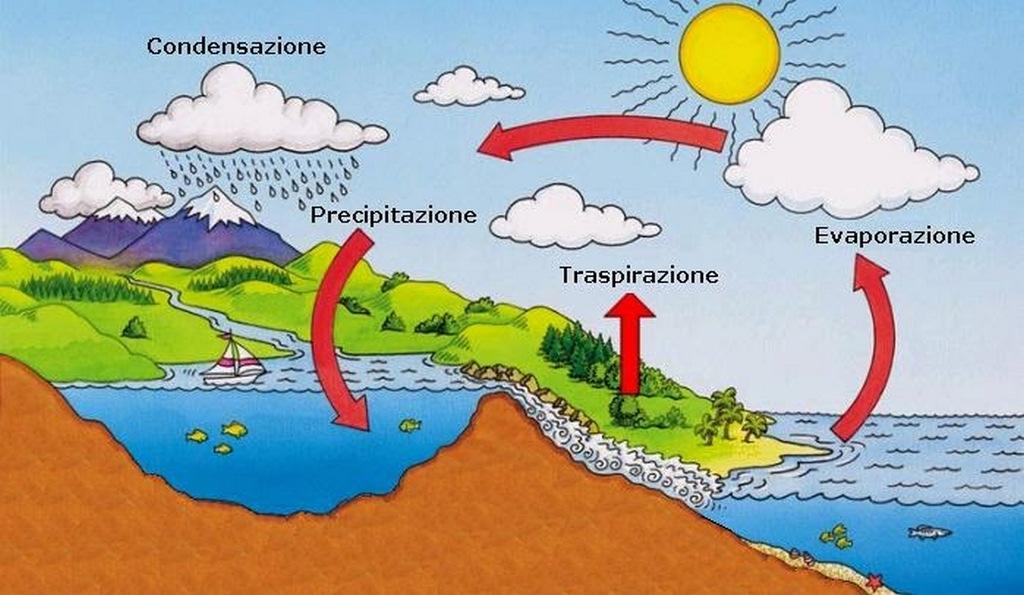 IL CICLO