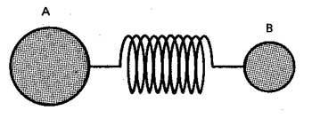 Il comportamento di atomi vibranti è descritto con il modello classico dell oscillatore armonico: Legge di Hooke: F = -kx con F= forza elastica di richiamo (segno meno perché agisce in senso opposto