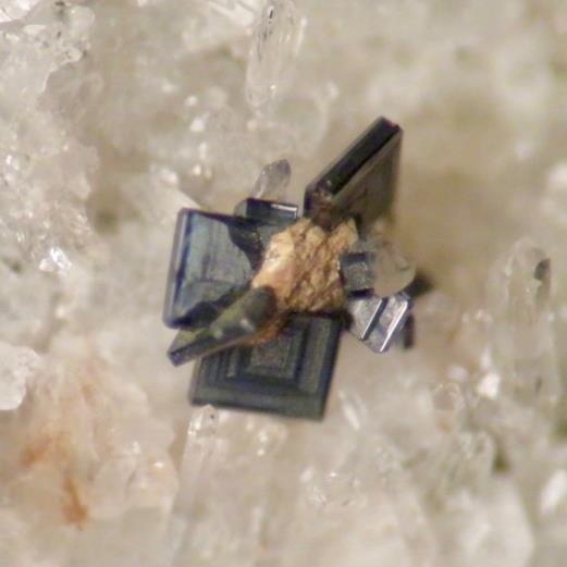 36 Figura 2. Anatasio: gruppo di cristalli tabulari (fov 4 7 mm.