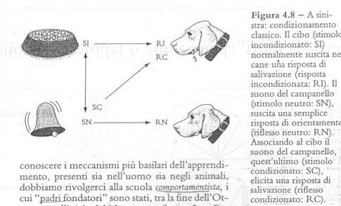 CONDIZIONAMENTO CLASSICO