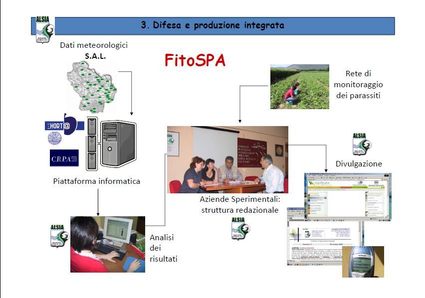 Il sistema pubblico per una